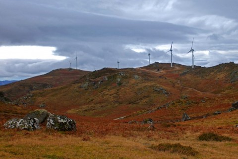 Grande Rota da Transumância 