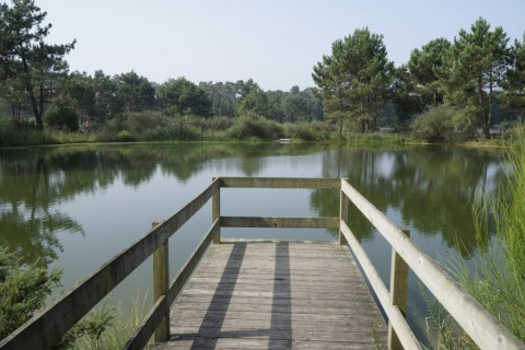 Grande Rota da Ria de Aveiro - Percurso Dourado