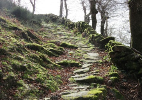 Trilho da Lombadinha