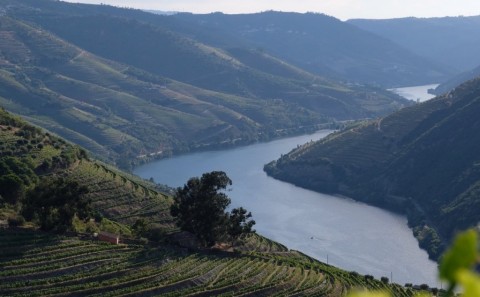 Histórico Pré Industrial