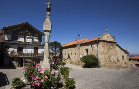 História e Natureza