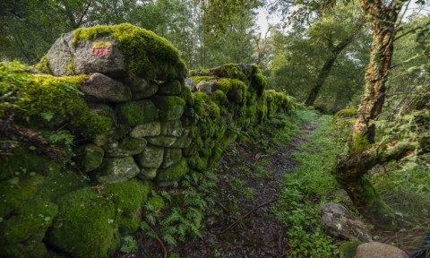 Percurso da Nossa Senhora do Castelo
