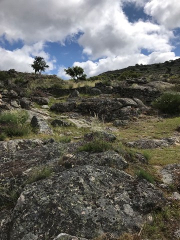 Percurso do Contrabando do Café