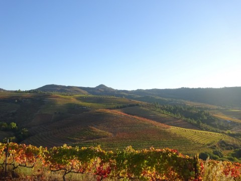 Trilho da Senhora da Cunha