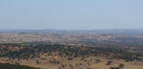 Subida à Sr.ª do Amparo