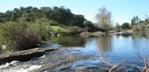 Um percurso ribeirinho