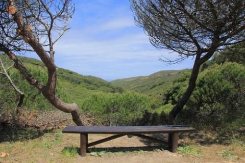 Trilho Ambiental do Castelejo